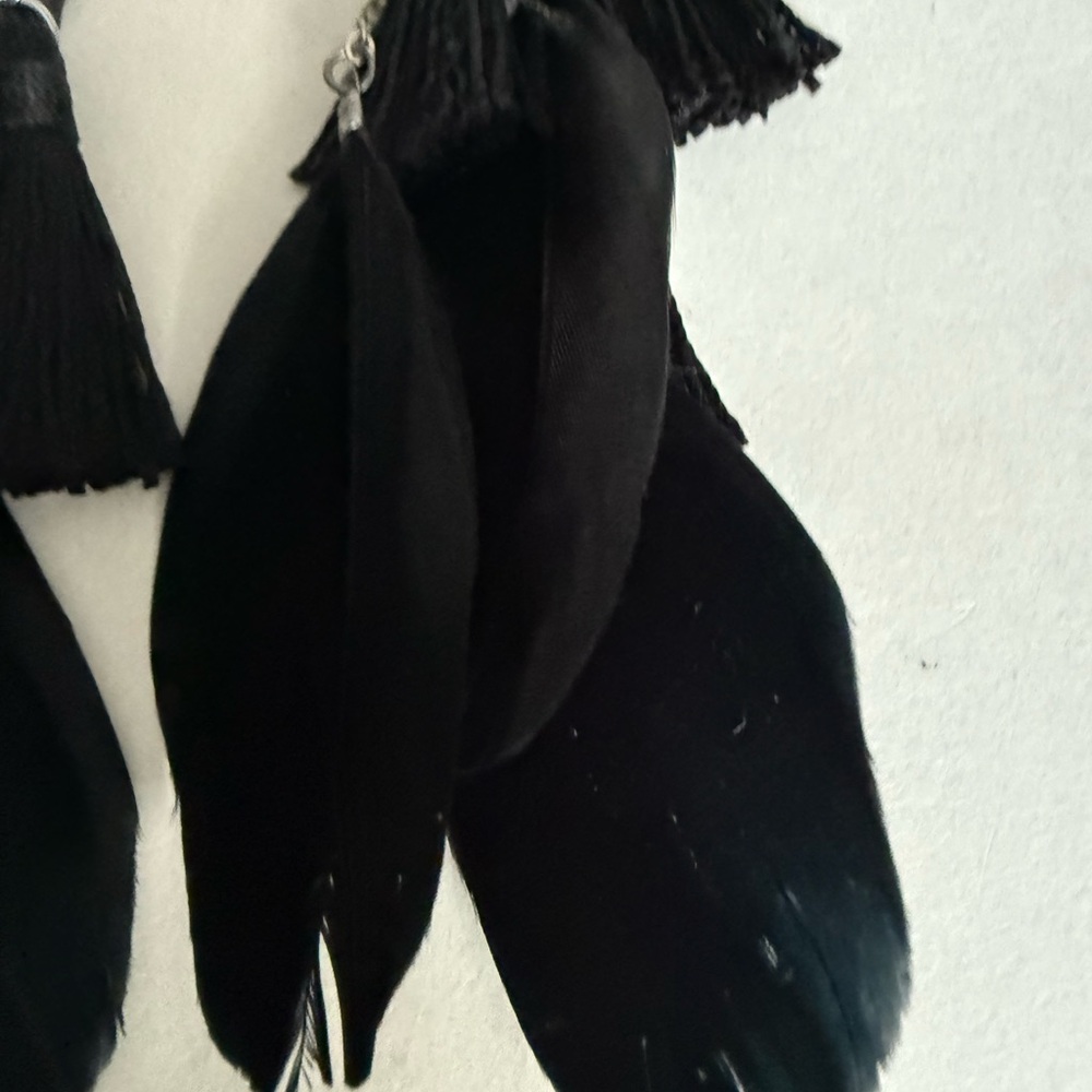 Chic Black Feather and Black Tassel Earrings - Picture 9 of 14